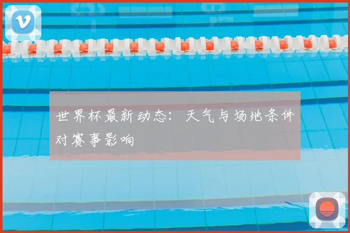 世界杯最新动态：天气与场地条件对赛事影响