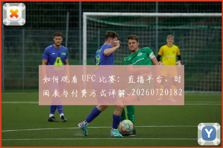 如何观看 UFC 比赛：直播平台、时间表与付费方式详解_20260720182942